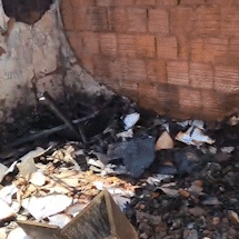 Fam&iacute;lia perde tudo em inc&ecirc;ndio e pede ajuda para recome&ccedil;ar