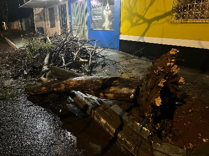 Ventania e chuva atingem sul de MS ap&oacute;s um m&ecirc;s de estiagem