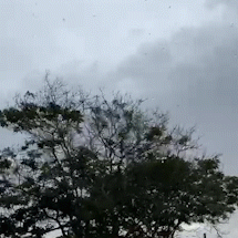 Ventania e chegada da chuva: tempo &ldquo;vira&rdquo; na regi&atilde;o Sul de MS