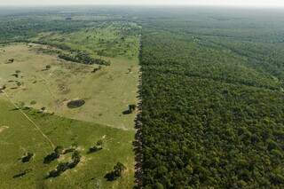 Documentário, que faz denúncias sobre Pantanal, concorre a Oscar Verde Documentário, que faz denúncias sobre Pantanal, concorre a Oscar Verde