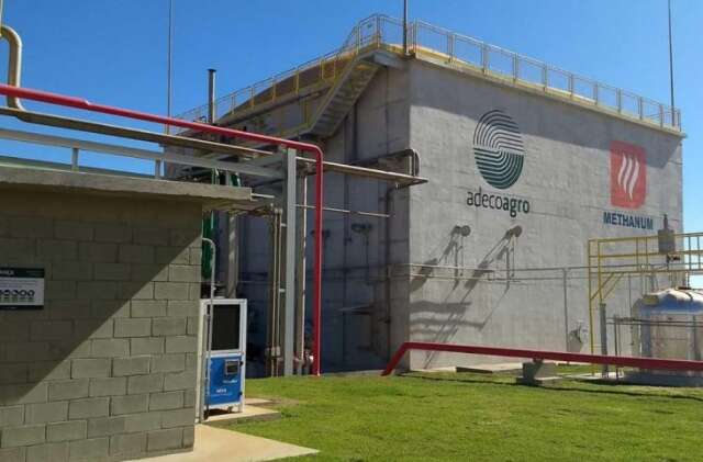 Gigante do bitcoin montar&aacute; data center em MS com energia limpa de usinas locais