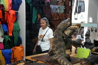 Um turismo diferente: conhecemos o maior criat&oacute;rio de jacar&eacute;s do Pantanal