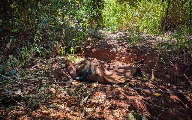 Per&iacute;cia contradiz vers&atilde;o de suspeito sobre morte de mulher abandonada em vala