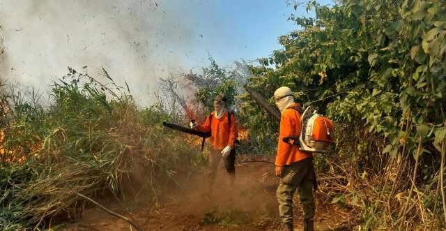 Entidades contestam desclassifica&ccedil;&atilde;o em edital do Fundo Clima e acionam MP