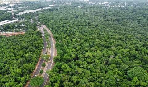 Acordo suspende novas constru&ccedil;&otilde;es no entorno do Parque do Prosa por 8 meses