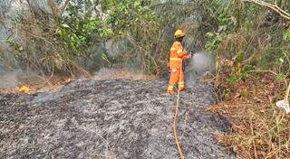 Ecoa pede ajuda ao governador ap&oacute;s ficar fora de edital ambiental
