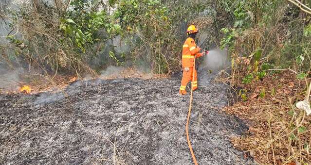 Ecoa pede ajuda ao governador ap&oacute;s ficar fora de edital ambiental