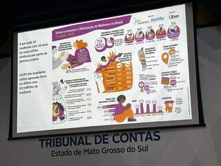&ldquo;Viol&ecirc;ncia contra mulher n&atilde;o &eacute; como roubo&rdquo;, diz ex-ministra cobrando preparo