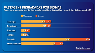 Leil&atilde;o Eco Invest mira o Pantanal e outros biomas para recuperar pastagens 