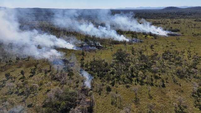 Leil&atilde;o Eco Invest mira o Pantanal e outros biomas para recuperar pastagens 