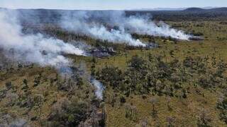 Leil&atilde;o Eco Invest mira o Pantanal e outros biomas para recuperar pastagens 