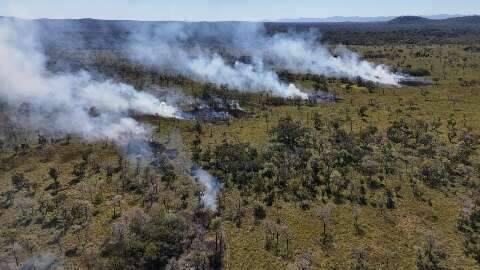 Leil&atilde;o Eco Invest mira o Pantanal e outros biomas para recuperar pastagens 