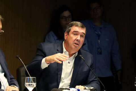 Riedel aposta na UFN3 para reduzir depend&ecirc;ncia de fertilizantes da R&uacute;ssia