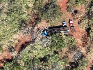 PMA flagra desmatamento e transporte irregular de aroeira em &aacute;rea de reserva