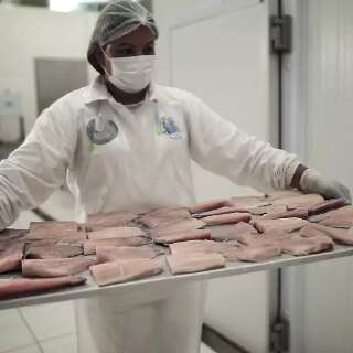 Com til&aacute;pia redirecionada, venda de peixes regionais precisa se adaptar
