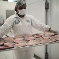 Com tilápia redirecionada, venda de peixes regionais precisa se adaptar