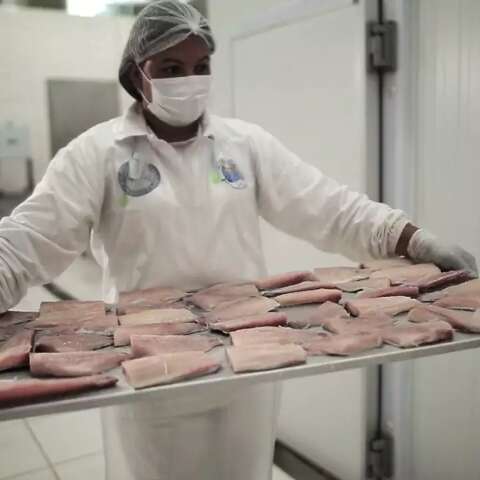 Com til&aacute;pia redirecionada, venda de peixes regionais precisa se adaptar