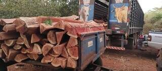 PMA flagra desmatamento e transporte irregular de aroeira em &aacute;rea de reserva