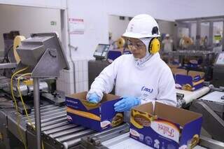 Conv&ecirc;nio entre Governo Federal e JBS contratar&aacute; benefici&aacute;rios do Bolsa Fam&iacute;lia
