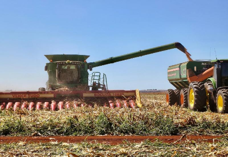 Colheita do milho safrinha segue lenta e alcan&ccedil;a 31,6% da &aacute;rea cultivada