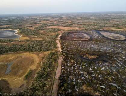Justi&ccedil;a reconhece poder do Ibama para agir contra desmatamento no Pantanal