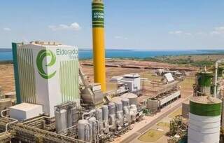 Alian&ccedil;a de Estado: como JBS, Fibria e pol&iacute;ticos impulsionaram o Vale da Celulose