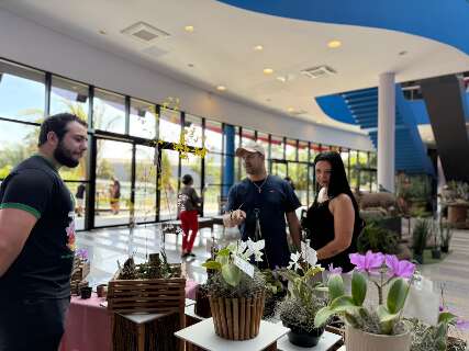 Hoje tem exposi&ccedil;&atilde;o de orqu&iacute;deas no Bioparque com flor s&iacute;mbolo de MS