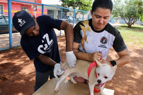 Campo Grande inicia campanha de vacina&ccedil;&atilde;o antirr&aacute;bica na segunda-feira