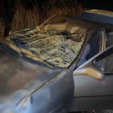 Carro fica destru&iacute;do ap&oacute;s atropelar boi em rodovia; dois s&atilde;o socorridos