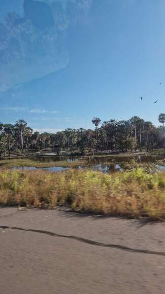 Campo Grande News