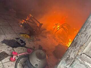 C&atilde;o &eacute; resgatado ap&oacute;s inc&ecirc;ndio em casar&atilde;o abandonado