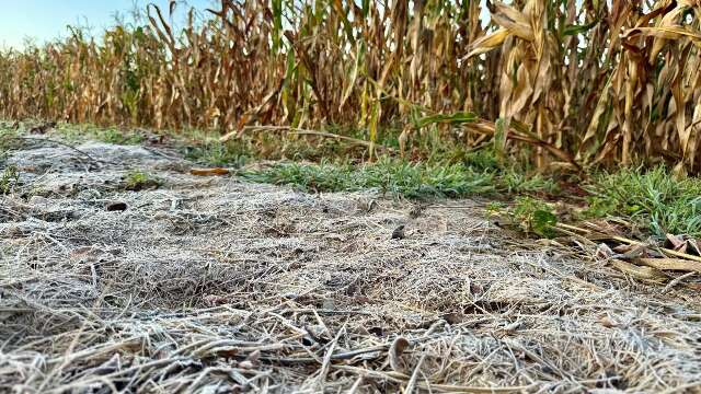 Em um m&ecirc;s, Estado registrou temperaturas entre 1&ordm;C e 36&ordm;C