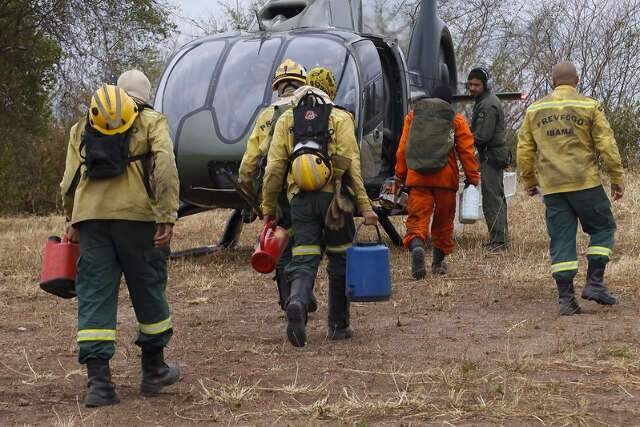 Pantanal registra queda de 99% na &aacute;rea queimada em julho