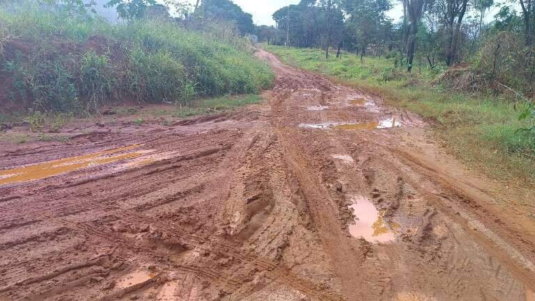 Campo Grande News