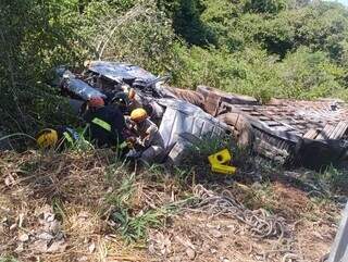 Animais morrem ap&oacute;s caminh&atilde;o com gado cair de barranco &agrave;s margens de rodovia