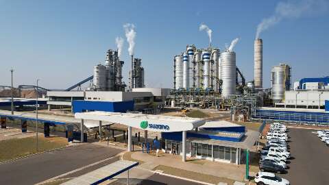 Suzano reverte preju&iacute;zo de 2024 e alcan&ccedil;a lucro de R$ 5 bilh&otilde;es no trimestre