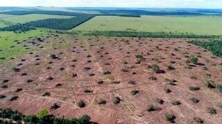 Desmatamento recua no Pantanal e Cerrado mesmo sob condi&ccedil;&otilde;es clim&aacute;ticas extremas
