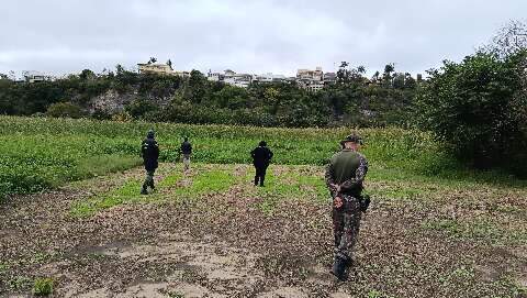 Ibama estuda captura da on&ccedil;a que atacou morador em Corumb&aacute;