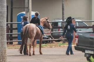 Crian&ccedil;as e fam&iacute;lias encontram amizade e terapia em esporte novo, o Ranch Sorting
