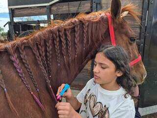 Crian&ccedil;as e fam&iacute;lias encontram amizade e terapia em esporte novo, o Ranch Sorting