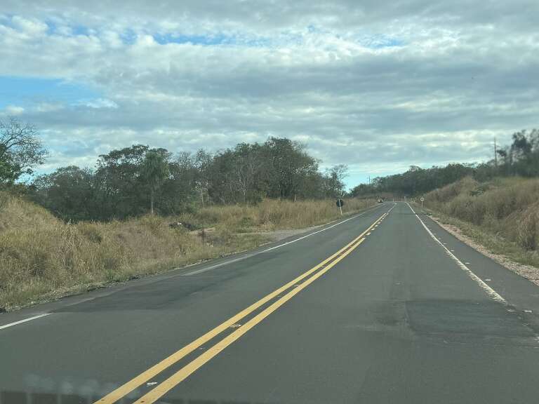 Campo Grande News