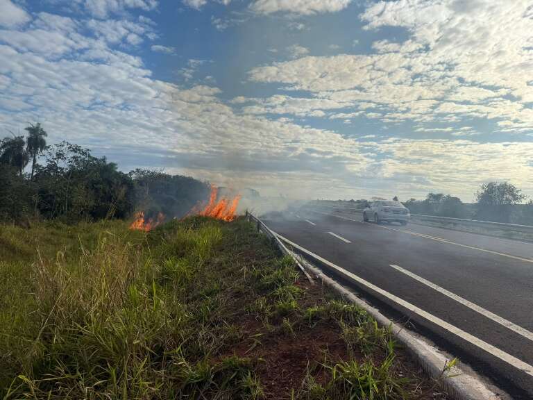 Campo Grande News