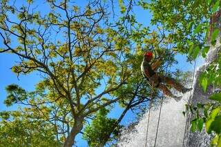 Cachoeiras, trilhas, eventos e sabores provam que Capital &eacute; forte no turismo
