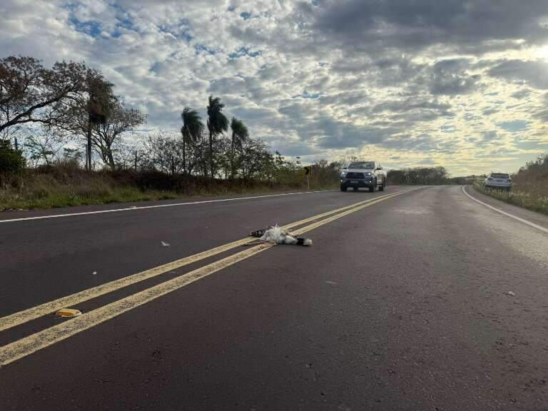 Campo Grande News