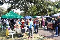 Domingo tem Feira do Panamá, Cool Stuff e pagode para iniciar semana