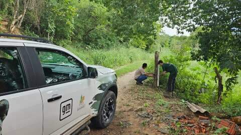 Sumi&ccedil;o de aparelhos dificulta controle de on&ccedil;as em &aacute;rea urbana de Corumb&aacute;