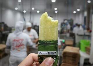 Picol&eacute; de terer&eacute; &eacute; aposta da Dale para refrescar o ver&atilde;o em MS