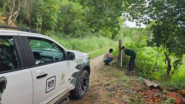 Sumi&ccedil;o de aparelhos dificulta controle de on&ccedil;as em &aacute;rea urbana de Corumb&aacute;