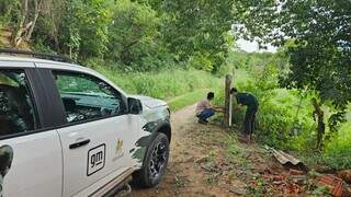 Sumi&ccedil;o de aparelhos dificulta controle de on&ccedil;as em &aacute;rea urbana de Corumb&aacute;