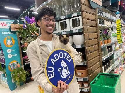 Feira de ado&ccedil;&atilde;o encontra novos lares para gatos resgatados de maus-tratos